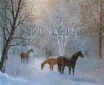 Equestrian Snow